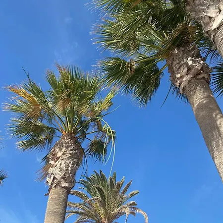 Sunny شقة *