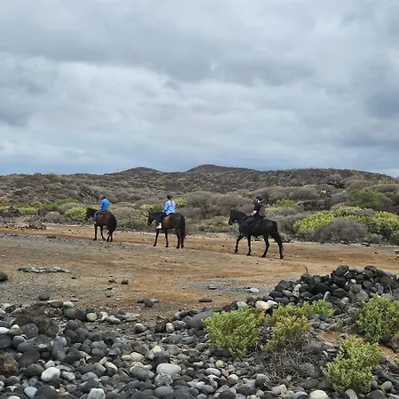 Sunny Appartement San Miguel de Abona