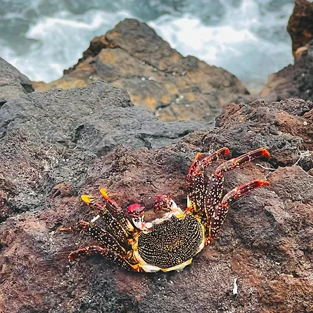 Sunny San Miguel de Abona